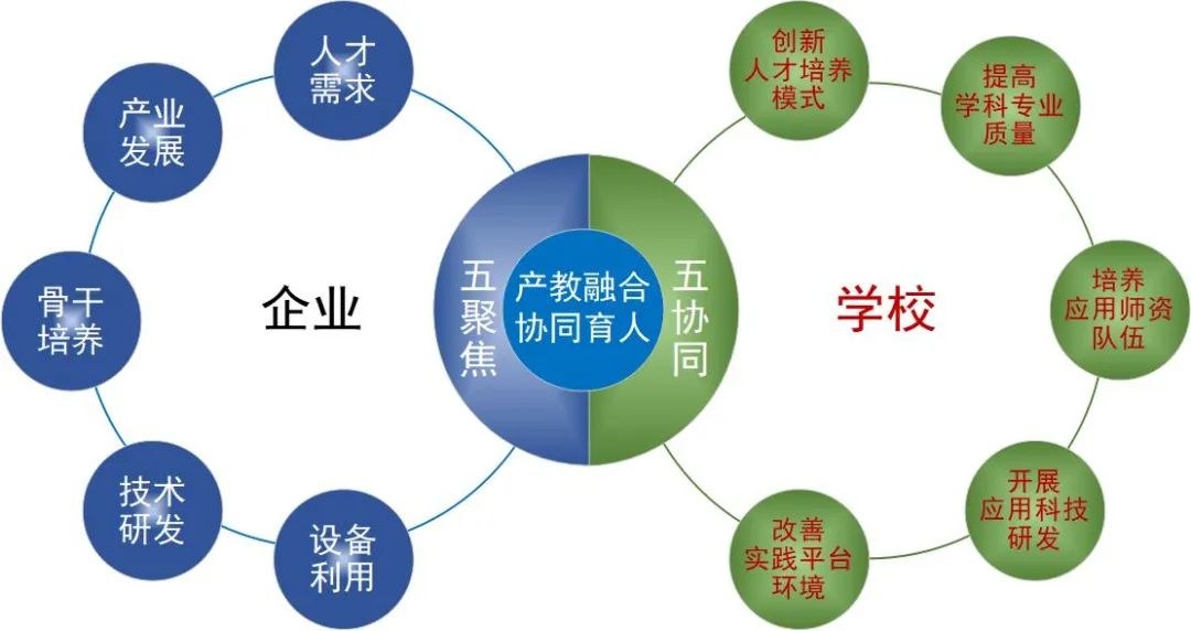 策略三:搭建平台,促进实践与交流