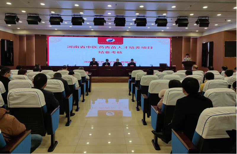 相关长尾词:年轻人才培养挑战与机遇