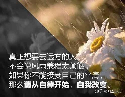 特质四:人际交往能力强,善于团队合作